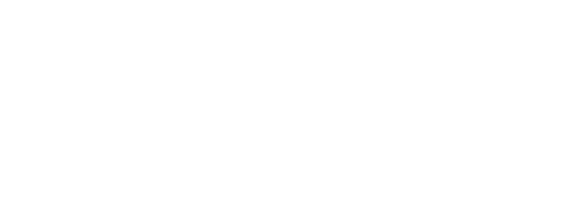 imagn institute logo w 2
